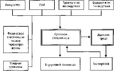 Рис 13 Применительно к конкретным условиям выполнения задачи факторы - фото 4