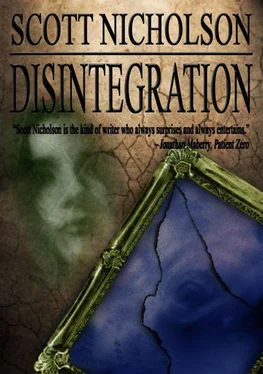 Scott Nicholson Disintegration обложка книги