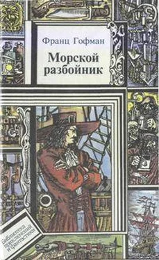 Луи Жаколио Морские разбойники обложка книги