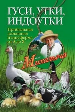 Николай Звонарев Гуси, утки, индоутки. Прибыльная домашняя птицеферма от А до Я обложка книги