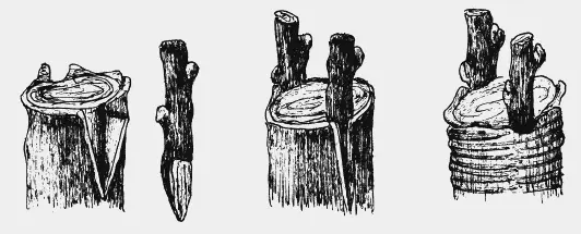 Рис 3 Прививка за кору Метод прививки вприклад с язычком рис 2 применяют - фото 3
