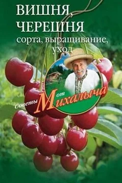 Николай Звонарев Вишня, черешня. Сорта, выращивание, уход, заготовки обложка книги