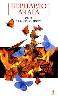 Бернардо Ачага Сын аккордеониста обложка книги