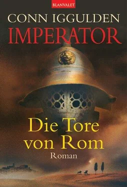 Conn Iggulden Die Tore von Rom обложка книги