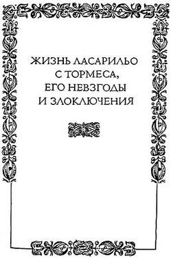 Неизвестный Автор Жизнь Ласарильо с Тормеса, его невзгоды и злоключения обложка книги