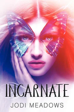 Jodi Meadows Incarnate обложка книги