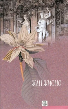 Жан Жионо Гусар на крыше обложка книги