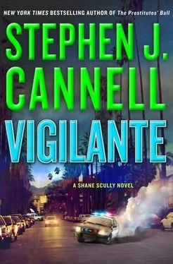 Stephen Cannell Vigilante обложка книги