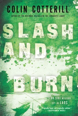 Colin Cotterill Slash and Burn обложка книги