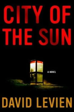 David Levien City of the Sun обложка книги