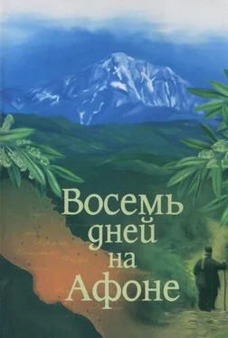 Александр Громов Паракало, или Восемь дней на Афоне обложка книги