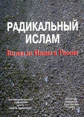 Сергей Кургинян Радикальный ислам. Взгляд из Индии и России обложка книги