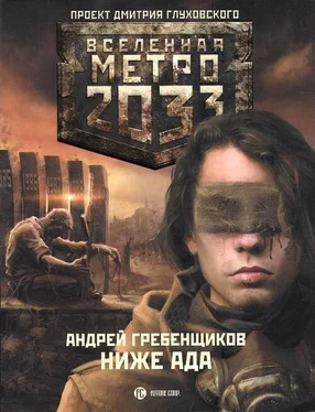 Андрей Гребенщиков Ниже ада обложка книги