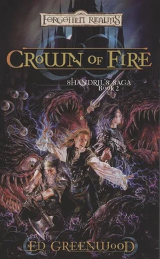 Ed Greenwood Crown of Fire обложка книги