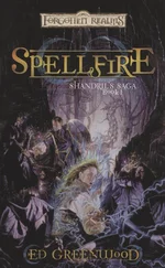 Ed Greenwood - Spellfire