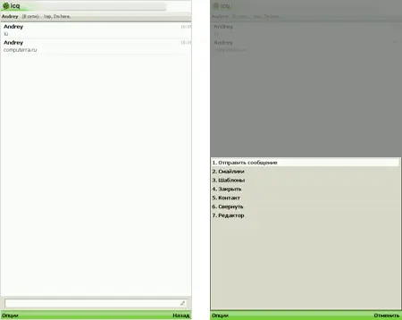 Чего особенно не хватает в ICQ Mobile for Java так это настроек кодировок - фото 3