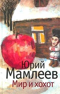 Юрий Мамлеев Мир и хохот обложка книги