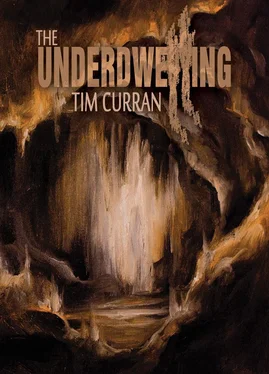 Tim Curran The underdwelling обложка книги