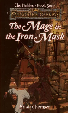 Brian Thomsen The Mage In The Iron Mask обложка книги