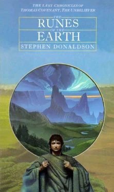 Stephen Donaldson The Runes of the Earth обложка книги