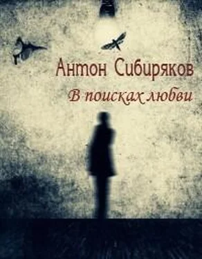 Антон Сибиряков В поисках любви обложка книги