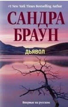 Сандра Браун Дьявол обложка книги