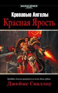 Джеймс Сваллоу Красная Ярость обложка книги