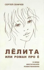 Сергей Сеничев - Лёлита или роман про Ё
