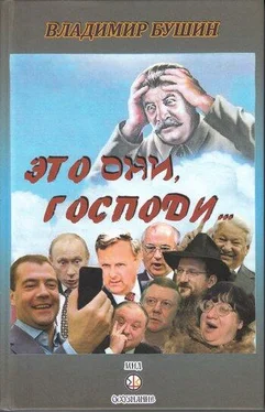 Владимир Бушин Это они, Господи… обложка книги