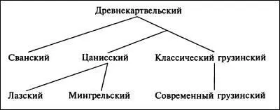 Лазский и мингрельский языки являются производными от древнего колхидского или - фото 18