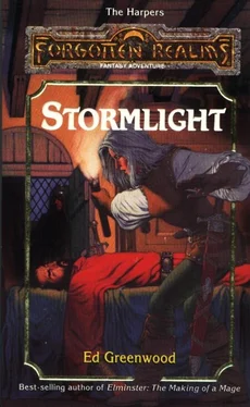 Ed Greenwood Stormlight обложка книги