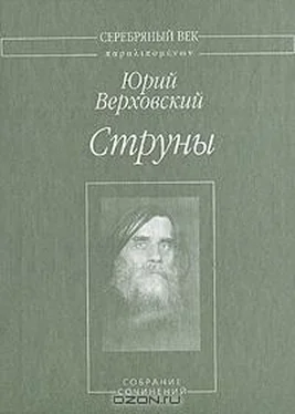 Юрий Верховский Струны: Собрание сочинений обложка книги