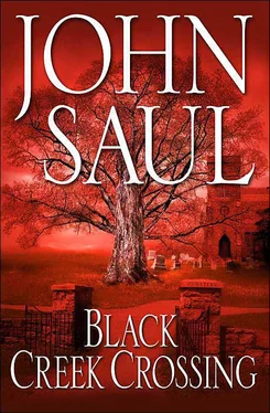 John Saul Black Creek Crossing обложка книги