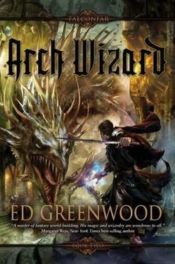 Ed Greenwood Arch Wizard обложка книги