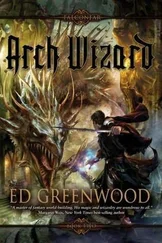 Ed Greenwood - Arch Wizard