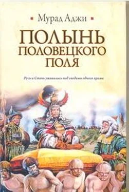 Мурад Аджи Полынь Половецкого поля обложка книги