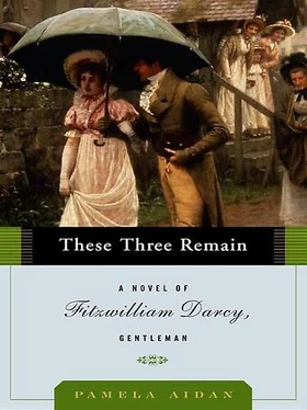 Pamela Aidan These Three Remain обложка книги