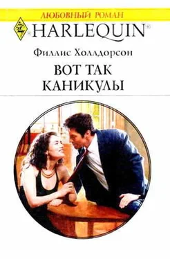 Филлис Холлдорсон Вот так каникулы обложка книги