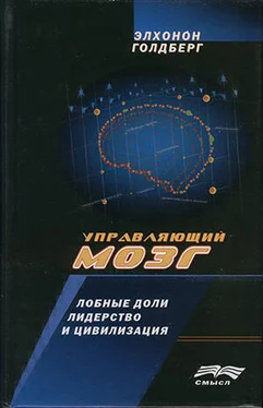 Элхонон Голдберг Управляющий мозг: Лобные доли, лидерство и цивилизация обложка книги