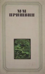 Михаил Пришвин - Глаза земли. Корабельная чаща