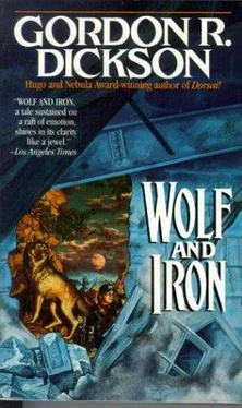 Gordon Dickson Wolf and Iron обложка книги