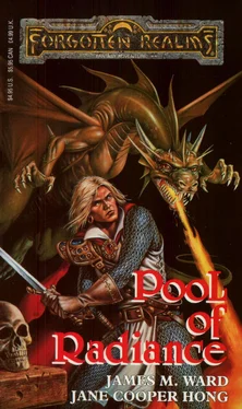 James Ward Pool of Radiance обложка книги