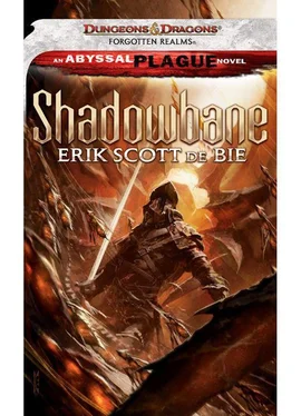 Eric De Bie Shadowbane обложка книги