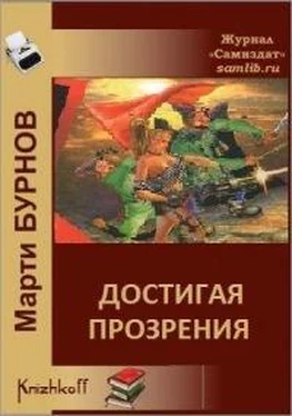 Марти Бурнов Достигая прозрения обложка книги