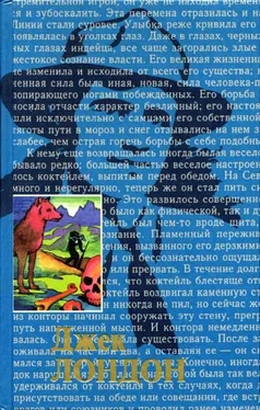 Джек Лондон День пламенеет обложка книги