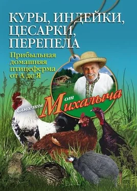 Николай Звонарев Куры, индейки, цесарки, перепела. Прибыльная домашняя птицеферма от А до Я обложка книги