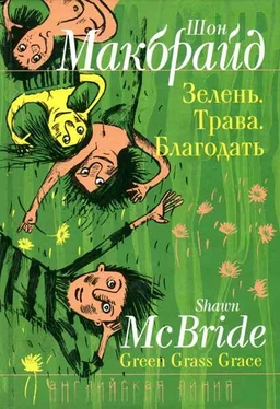 Шон Макбрайд Зелень. Трава. Благодать. обложка книги