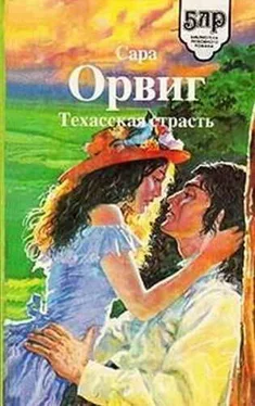 Сара Орвиг Техасская страсть обложка книги