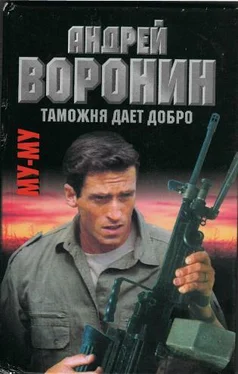 Андрей Воронин Таможня дает добро обложка книги