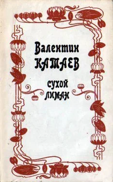 Валентин Катаев Сухой лиман (сборник) обложка книги